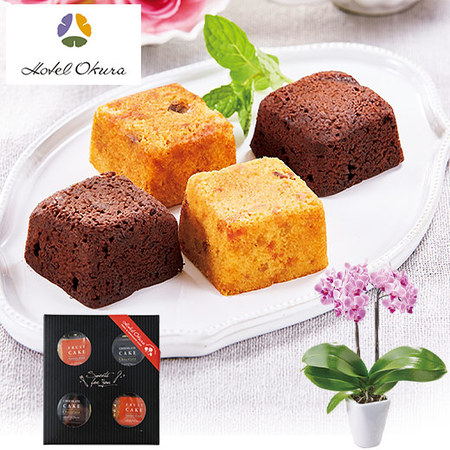 ≪早割★８８０円お得！≫ミディ胡蝶蘭チュンリー２本立とホテルオークラプチケーキセット母の日お届け