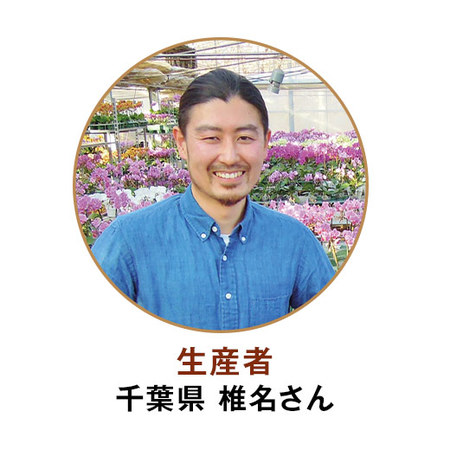 ≪早割★８８０円お得！≫ミディ胡蝶蘭チュンリー２本立と烏骨鶏姫どらやきセット母の日お届け