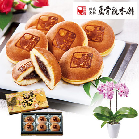 ≪早割★８８０円お得！≫ミディ胡蝶蘭チュンリー２本立と烏骨鶏姫どらやきセット母の日お届け