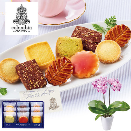 ≪早割★８８０円お得！≫ミディ胡蝶蘭チュンリー２本立とコロンバンフールセックセット母の日お届け