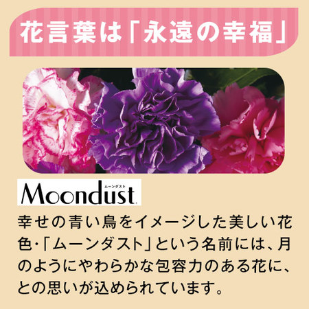 受賞花入り！華やか花束と文明堂カステラセット　母の日お届け