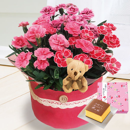 くまさんといっしょ♪３色カーネーションバスケットと文明堂カステラ　母の日届け