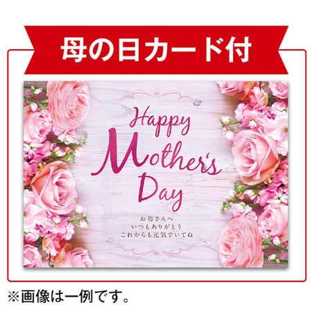 サツキ盆栽　母の日お届け