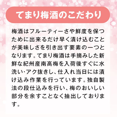 ≪早割★５５０円お得！≫６種の飲みくらべ！てまり梅酒セット　父の日お届け
