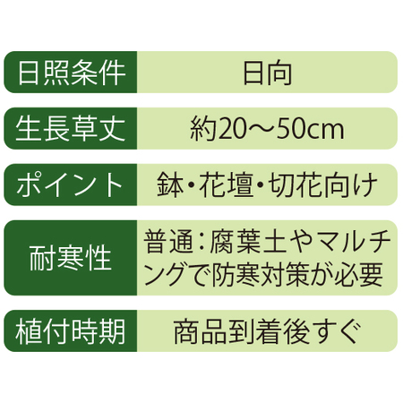 ≪早割！送料無料★２，７１４円引き≫育てて楽しむ！秋植え植物９種セット　１０月下旬より順次お届け