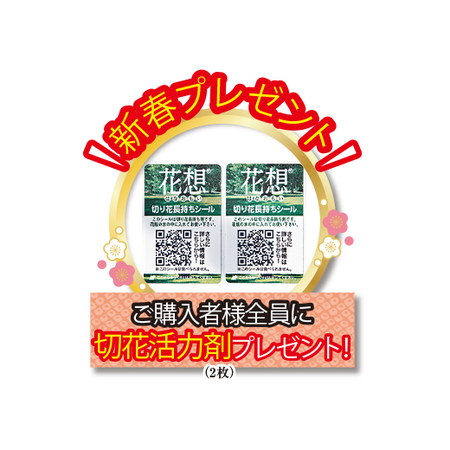 早）門松アレンジメント　極雅