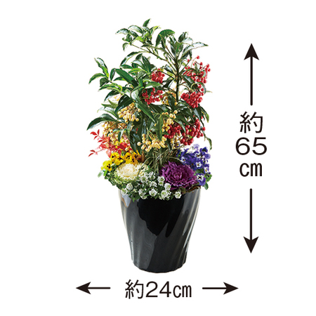 早）開運祈願大実万両紅白ガーデニング