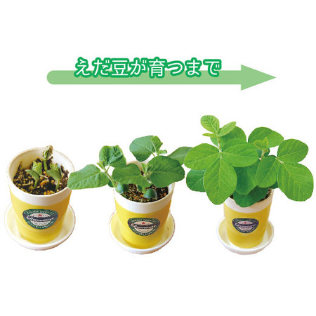 えだ豆とおつまみのセット【父の日お届け】