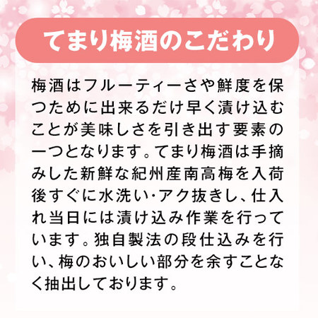 ６種の飲みくらべ！てまり梅酒セット【父の日お届け】