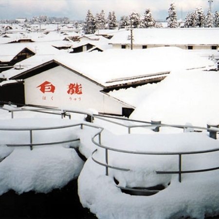 ５酒蔵の純米大吟醸一升瓶飲みくらべ５本組