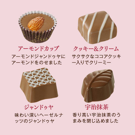 ≪すぐお届け≫メリーチョコレート　ファンシーチョコレート