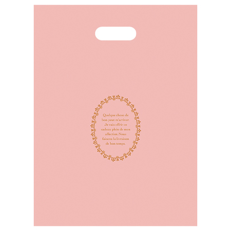 てんとう虫缶【ホワイトデー期間お届け】