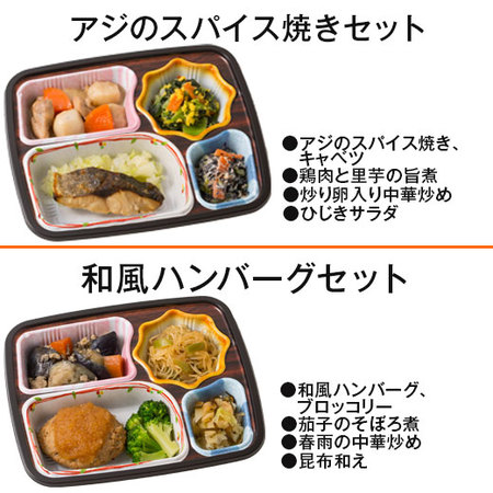 ≪ネット限定２，９８０円引き！≫宅菜便　ほほえみ御膳（お試しＤセット）７日前後お届け