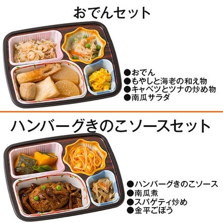 宅菜便　ほほえみ御膳（お試しＥセット）　７日前後お届け