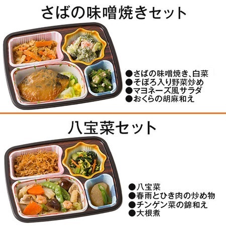 宅菜便　ほほえみ御膳（お試しＥセット）　７日前後お届け