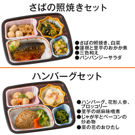 ≪ネット限定２，９８０円引き！≫宅菜便　ほほえみ御膳（お試しＦセット）７日前後お届け