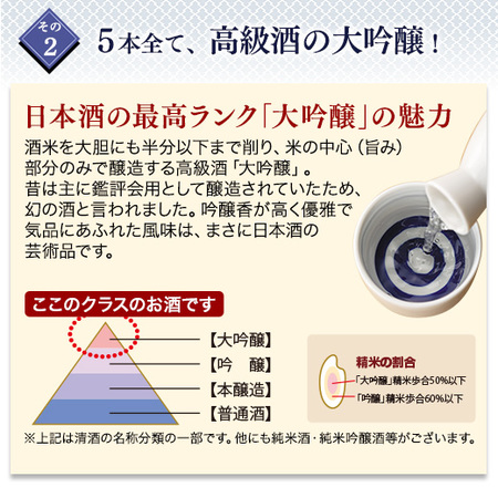 ≪送料無料≫　本場新潟　５酒蔵の大吟醸飲みくらべギフトセット