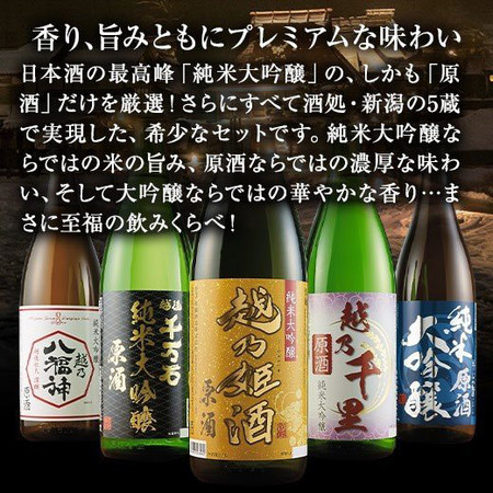 【約５０％ＯＦＦ！！】特割！越乃五蔵純米大吟醸原酒飲みくらべ一升瓶５本組