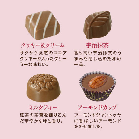 ≪ＷＤお届け≫メリーチョコレート　アソートチョコレート