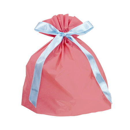 リカープラリネアソートチョコ【バレンタイン期間お届け】