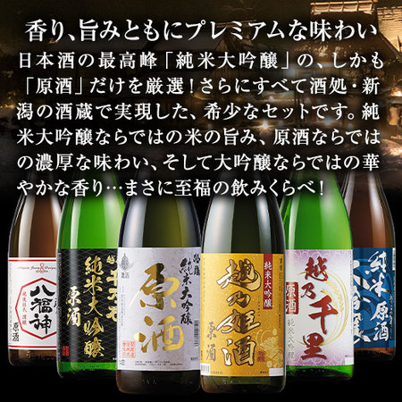 特割！越乃六蔵純米大吟醸原酒飲比６本セット