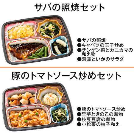 宅菜便　ほほえみ御膳（お試し版Ａセット）【第２弾】　７日前後お届け