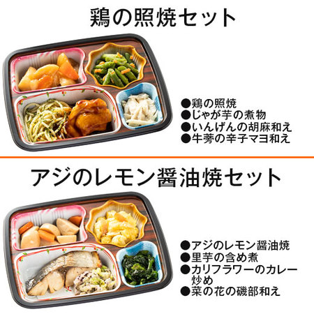 宅菜便　ほほえみ御膳（お試し版Ａセット）【第２弾】　７日前後お届け