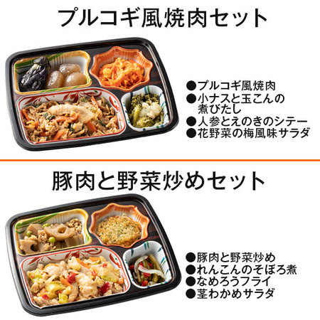 宅菜便　おふくろ御膳（お試し版Ｂセット）　７日前後お届け