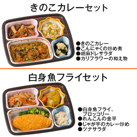 ≪ネット限定★特別セット≫宅菜便　ほほえみ御膳（お試しお得１８食）４月中旬お届け