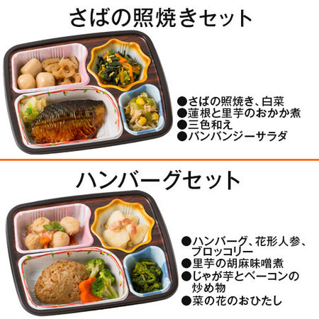 ≪ネット限定★特別セット≫宅菜便　ほほえみ御膳（お試しお得１８食）４月中旬お届け