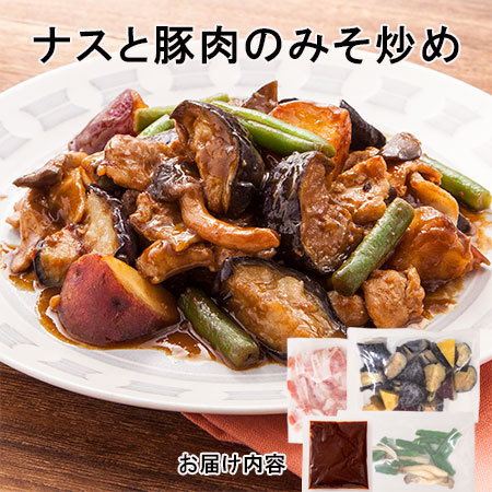 ≪ネット限定★５０％オフ！≫いつでも超速１０分おかず定番１０食セット　５日前後お届け