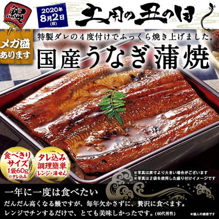 国産うなぎ蒲焼き（９袋）　７月３１日（金）―８月０１日（土）お届け