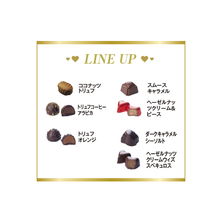 ≪５％ＯＦＦ！！≫ネット専用お買得チョコ【通常お届け】