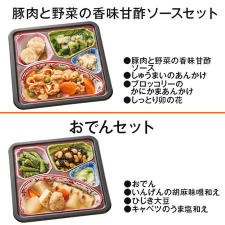 宅菜便　はなまる御膳１０食セット　１月中旬お届け