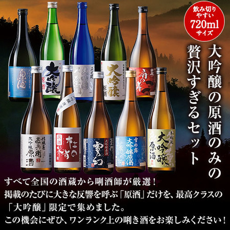 ≪ネット限定★白龍グラス付！４９％オフ≫特割！１０酒蔵の大吟醸原酒１０本組