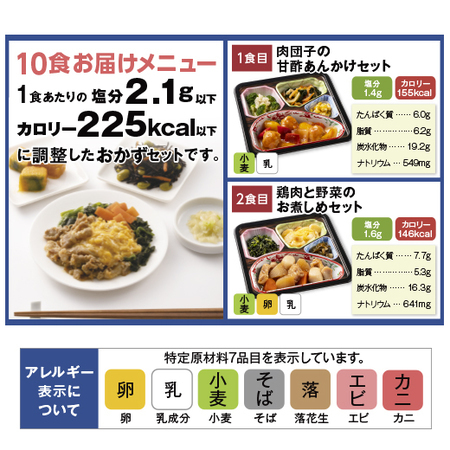 宅菜便　塩分２．１ｇ以下のおかず１０食セット