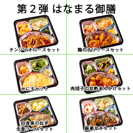 ≪会員様限定★約１０％ＯＦＦ！≫宅菜便中華のおかず２０食セット【第２弾】