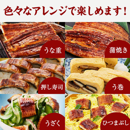 丑の日！メガ！超特大！国産うなぎ蒲焼３尾