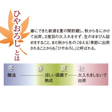 ≪ＷＥＢ限定★４５％オフ！≫プレゼント付！ひやおろし純米大吟醸原酒飲みくらべ一升瓶３本組