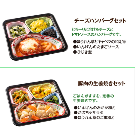 ≪ＷＥＢ限定★特別セット≫宅菜便　ボリューム御膳お肉のおかず１０種２０食