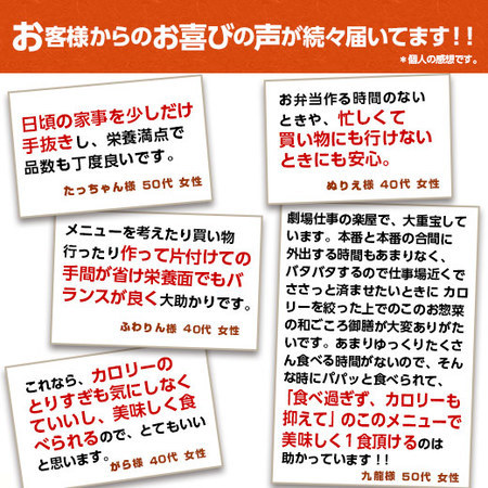 ≪送料無料★敬老の日≫宅菜便　和ごころ御膳２０食セット【第２弾】