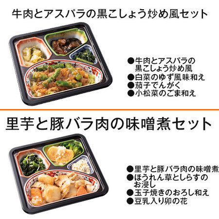 ≪送料無料★敬老の日≫宅菜便　和ごころ御膳２０食セット【第２弾】