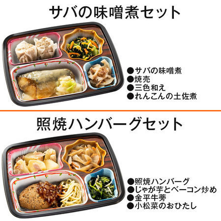 ≪送料無料★敬老の日≫宅菜便　ほほえみ御膳２０食ネット【２弾】