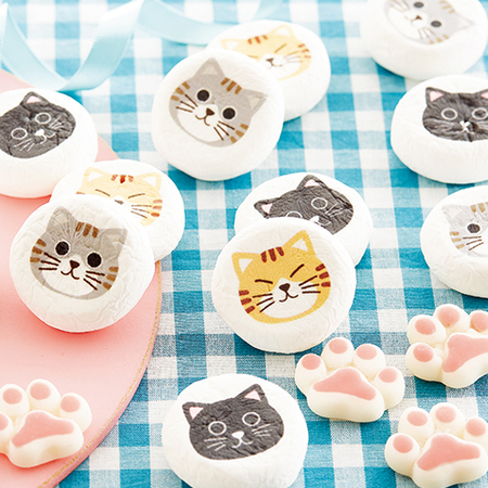 ≪ＶＤお届け≫にゃんこセット