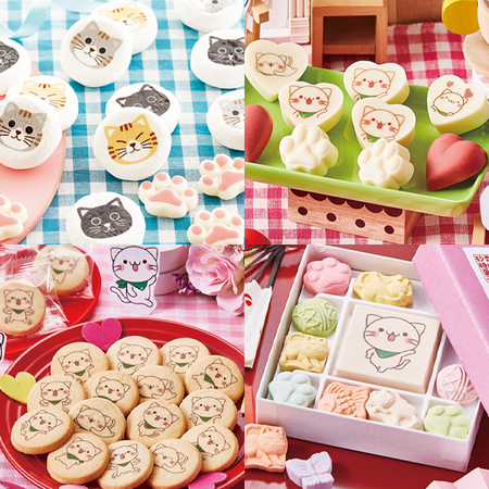 ≪ＶＤお届け≫にゃんこセット