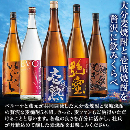 ≪５３％ＯＦＦ！≫特割！大分・壱岐の五蔵　麦焼酎飲みくらべ一升瓶５本組