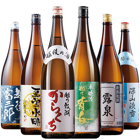 ≪お手紙をご覧の方限定≫期間限定！新潟地酒晩酌セット一升瓶６本組