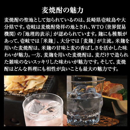 ≪５２％ＯＦＦ！！≫特割！大分・壱岐の六蔵　麦焼酎飲みくらべ一升瓶６本組