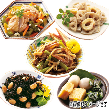 ≪ＷＥＢ限定！≫京のおばんざいセット２０袋セット