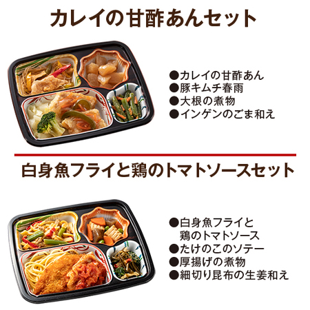 ≪リニューアル！ＷＥＢ限定★特別セット≫宅菜便　おふくろ御膳２０食版【第２弾】